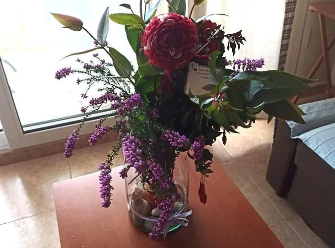 A&l Playa Appartement