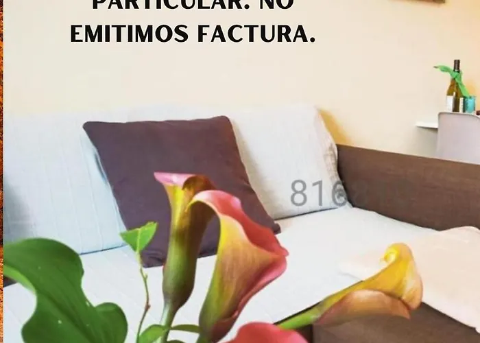 A&l Playa Appartement Viveiro